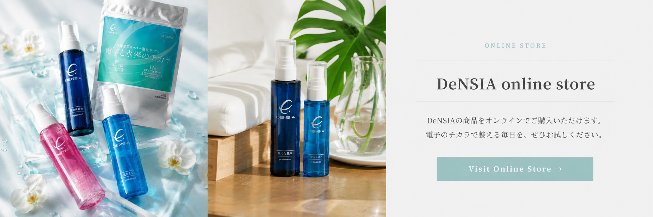 DeNSIA online store